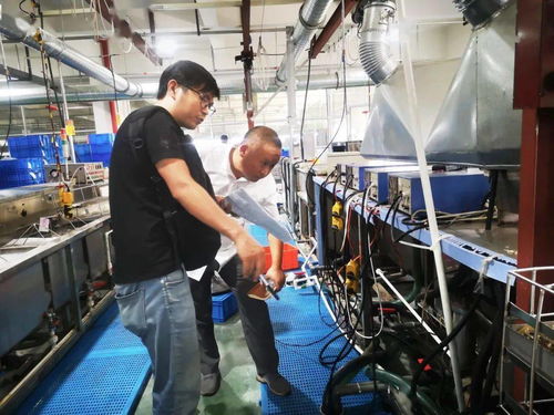 規(guī)范廠(chǎng)中廠(chǎng)服務(wù)小微園，樂(lè)清翁垟街道繃緊企業(yè)生產(chǎn)安全弦